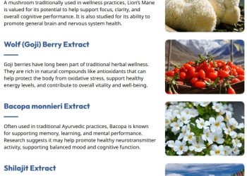 Neura supplement ingredients