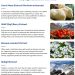 Neura supplement ingredients
