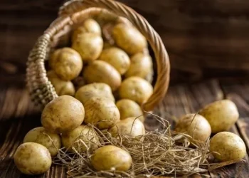 Potato Benefit