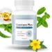 What Is Quietum Plus?
