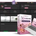 Vidicom-Review