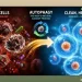 Fasting And Autophagy